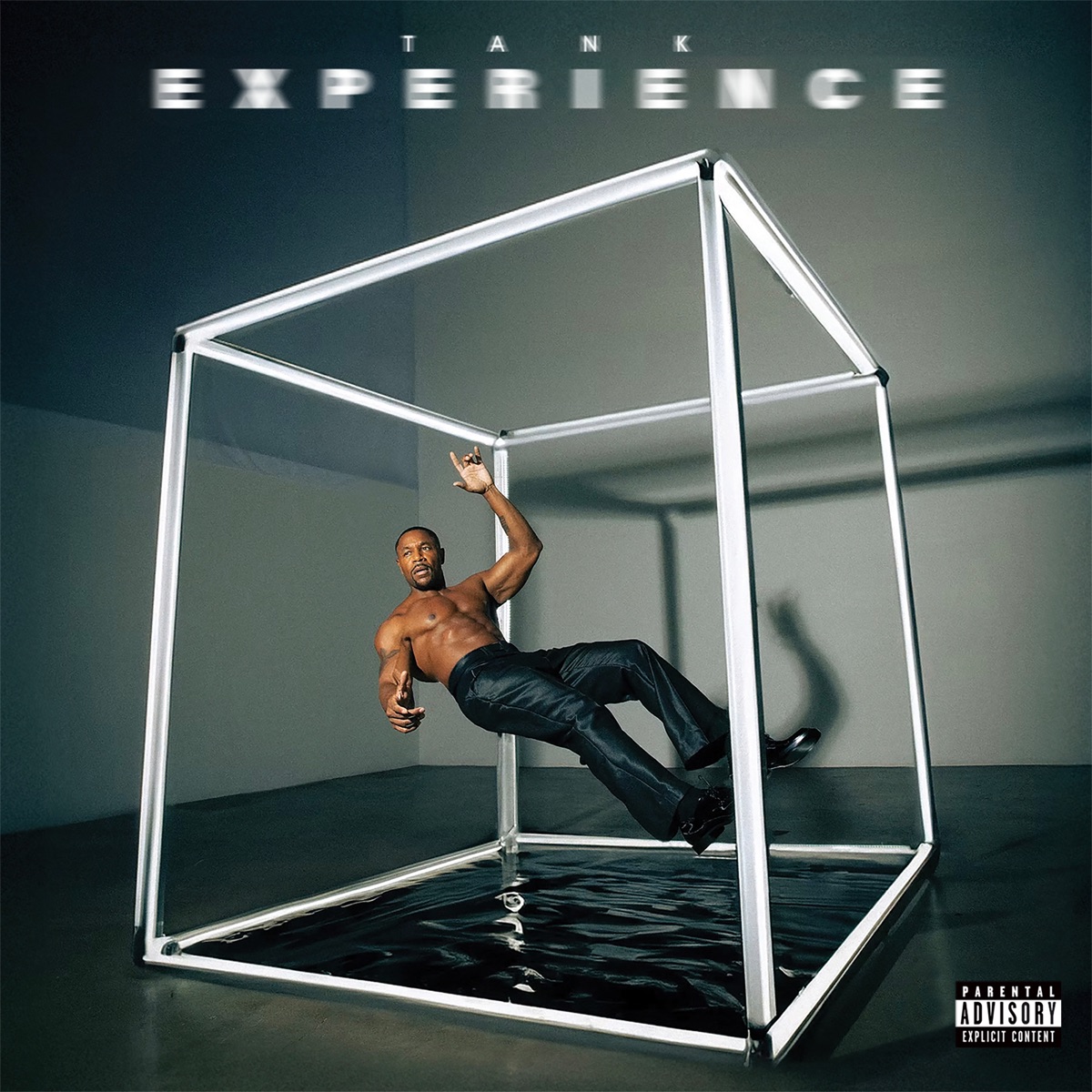EXPERIENCE by Tank album cover artwork