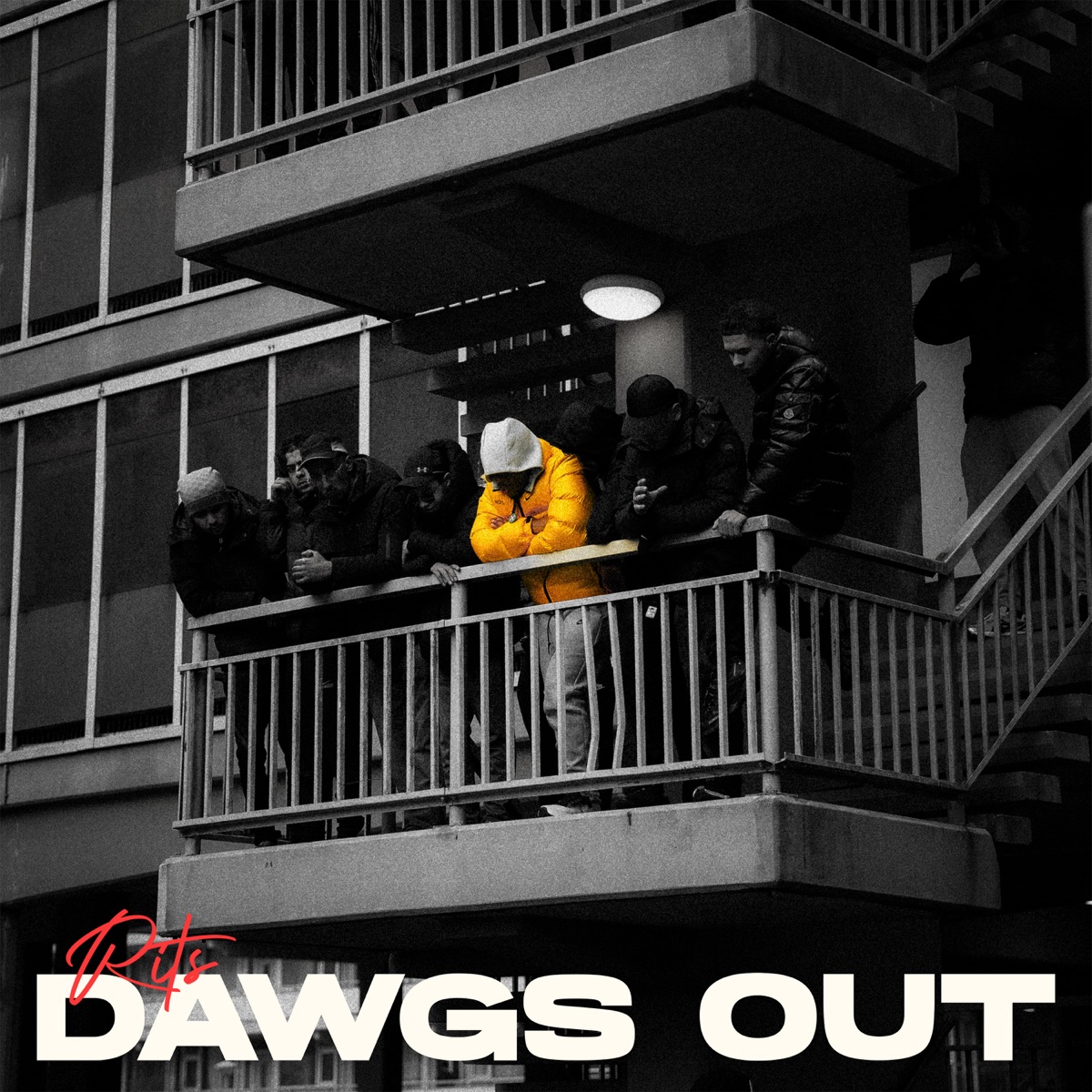 Dawgs Out - Single by Rits & Solid Circle album cover