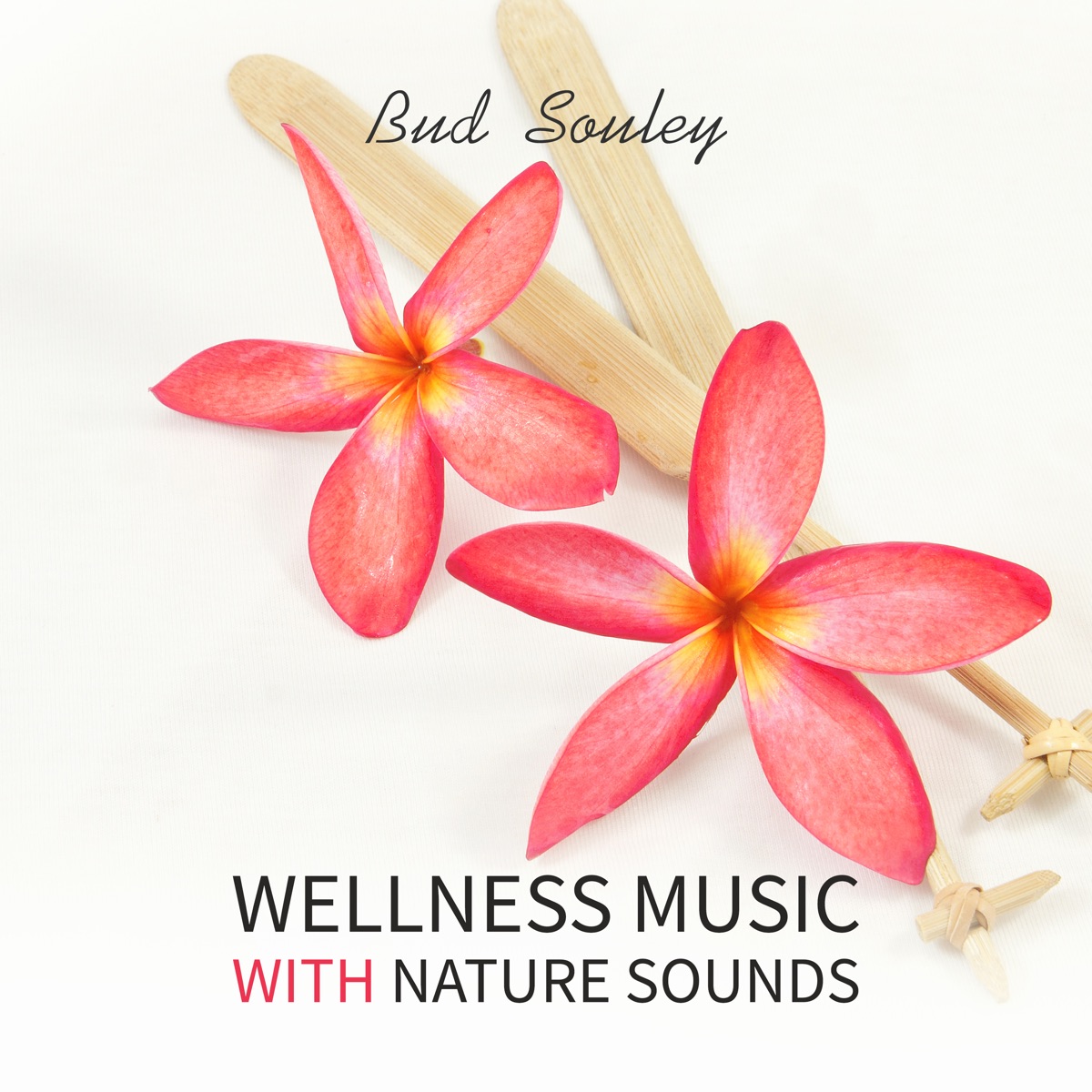 Soft Instrumental Harmonics for Wellness by Bud Souley album cover