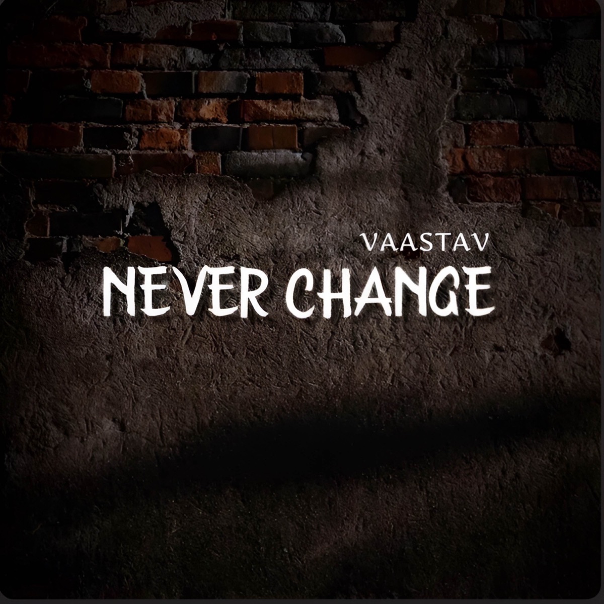 Never Change - Single by VAASTAV album cover