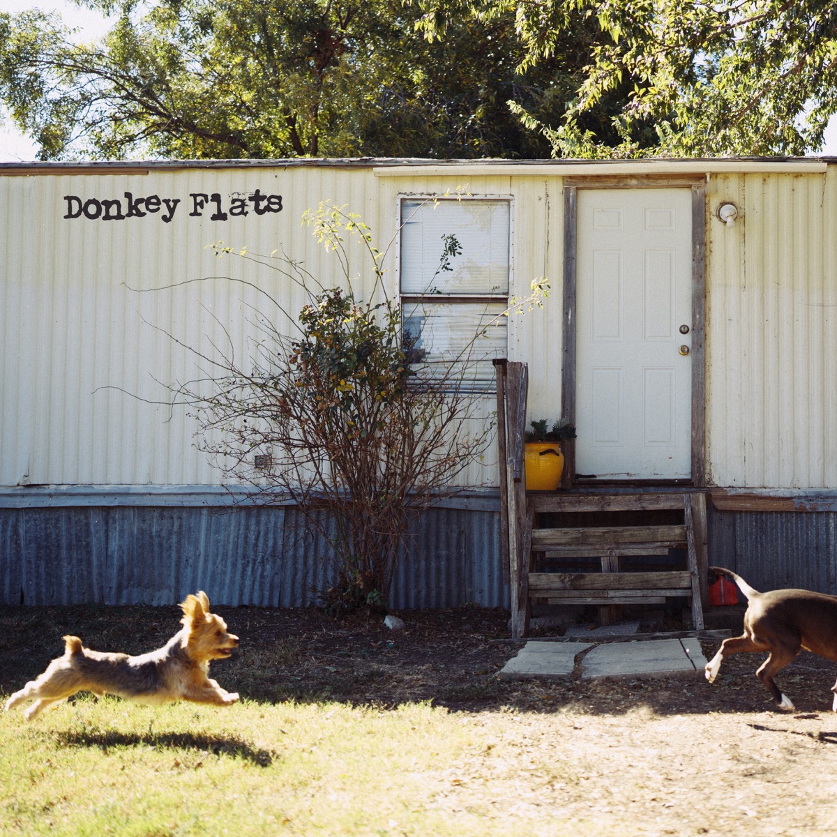 Donkey Flats - EP by Dexter and The Moonrocks album cover