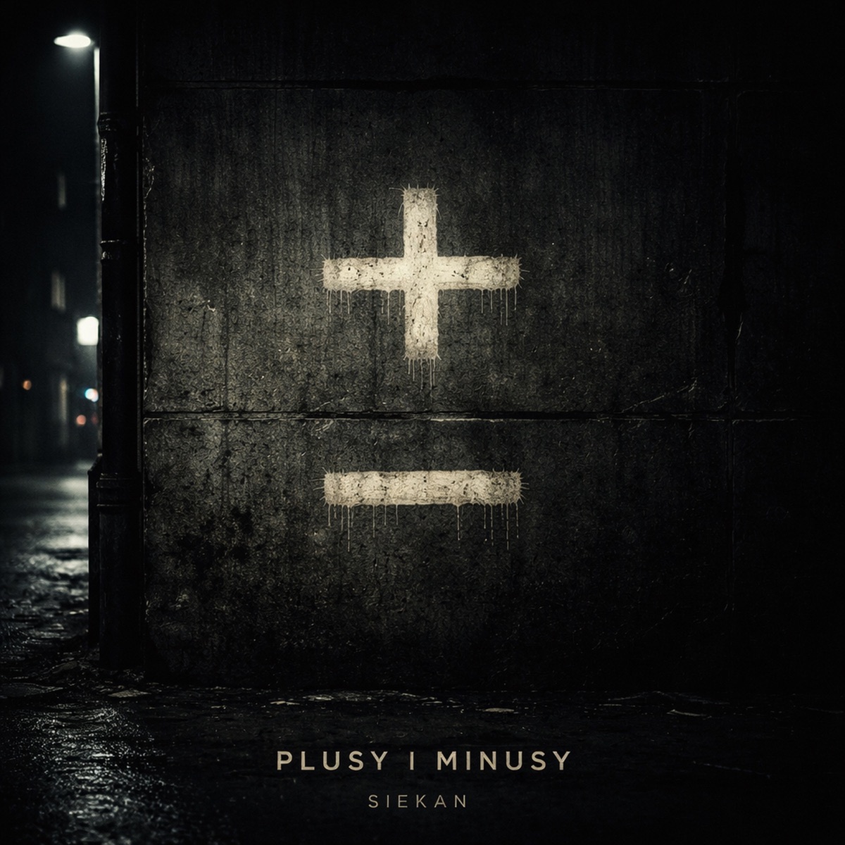 Plusy i Minusy - Single by Siekan album cover