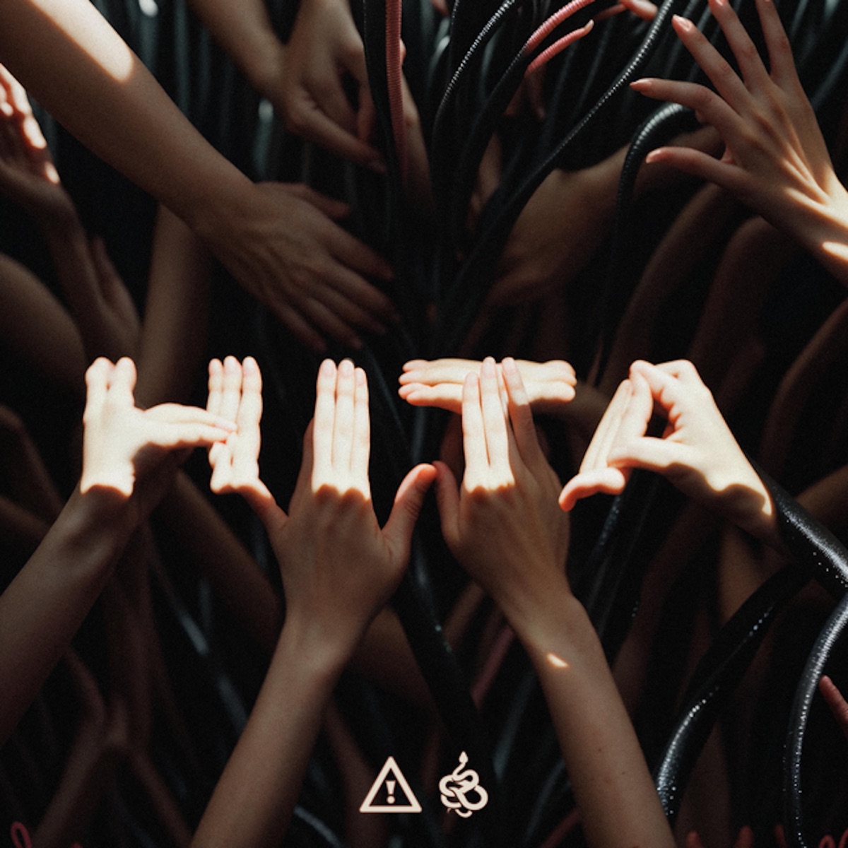 Hita - Single by Flosstradamus & Viperactive album cover