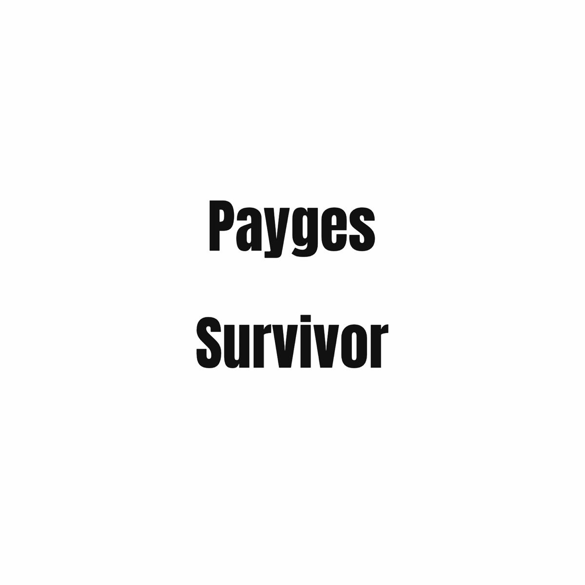 Survivor - Single by Payges album cover