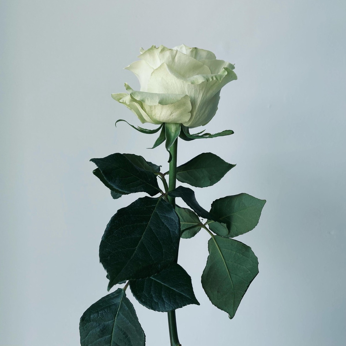 I Need You So - Single by Justician album cover