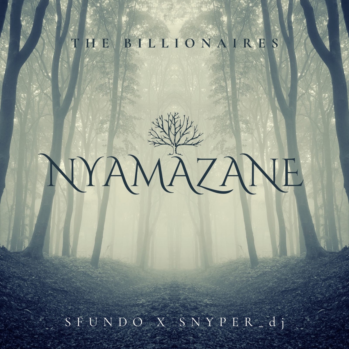 Nyamazane (feat. MaBzar & Fredrum) - Single by The Billionaires, Sfundo & Snyper_dj album cover