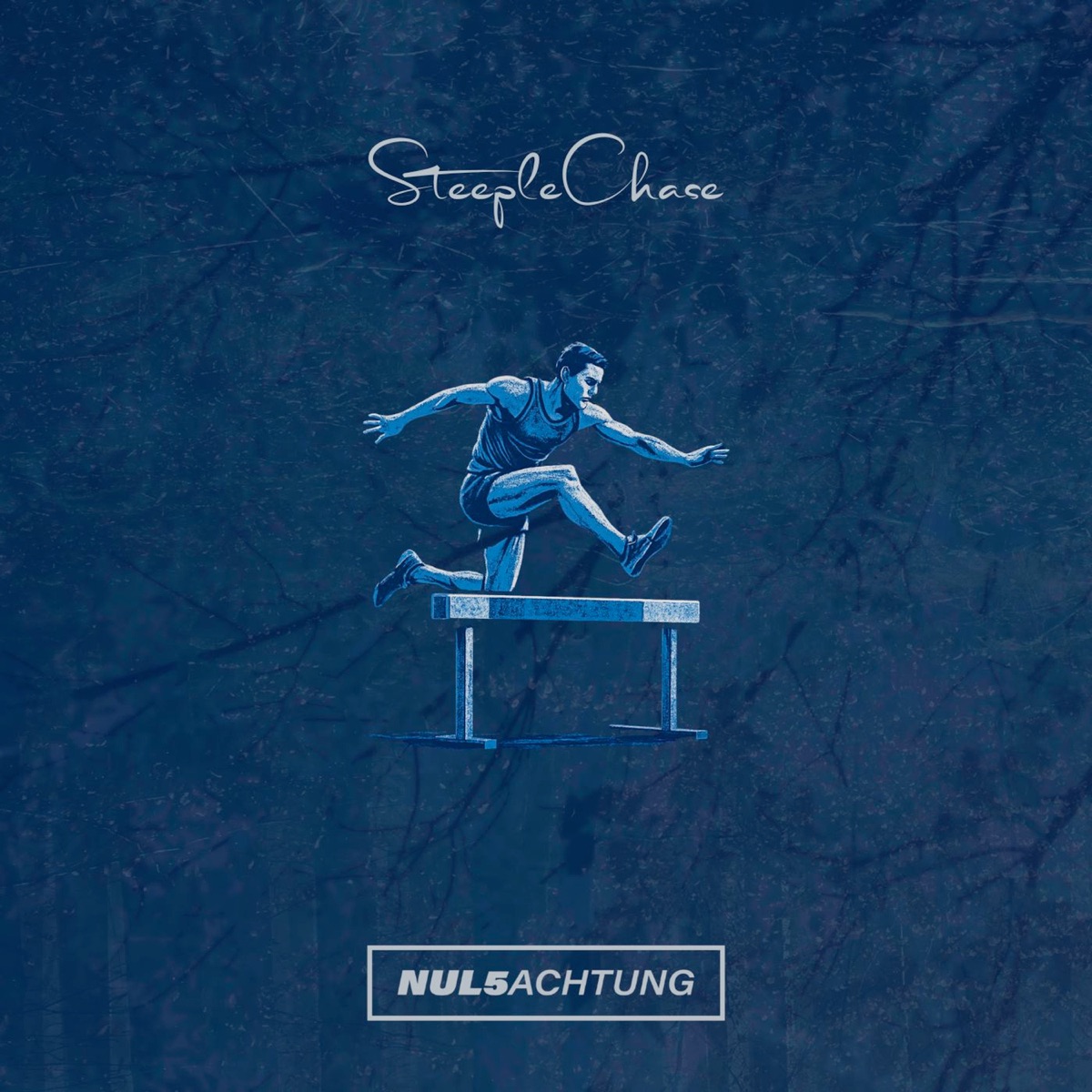 Steeplechase - Single by NUL5ACHTUNG, Hiemstrowski, Poelier & Vintouch album cover