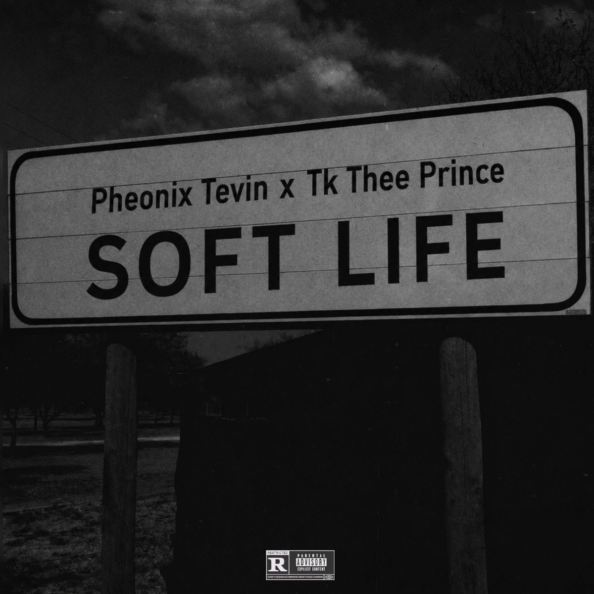 Soft Life - Single by Pheonix Tevin & Tk Thee Prince album cover