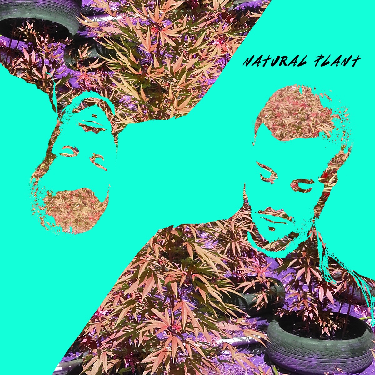 Natural Plant - Single by Baltimores album cover
