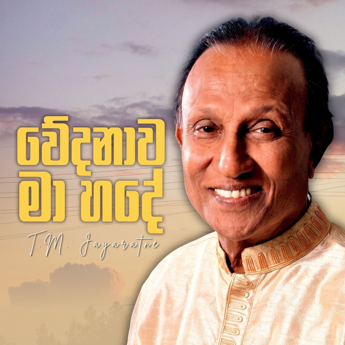 Wedanawa Ma Hade - Single by Ransilu Music album cover