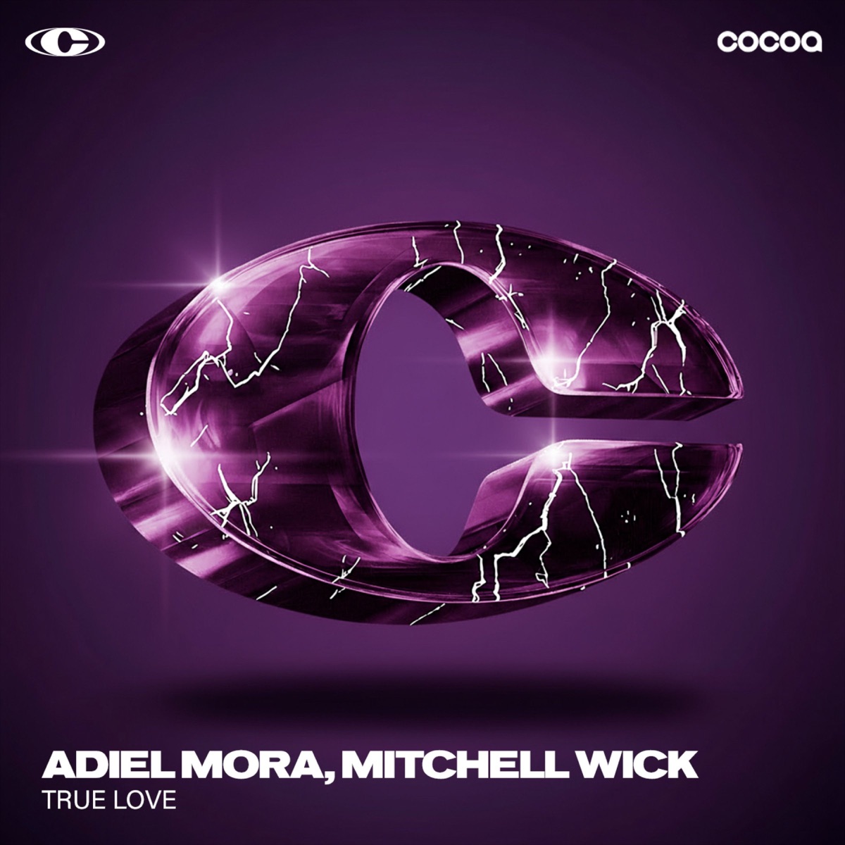 True Love - Single by Adiel Mora & Mitchell Wick album cover