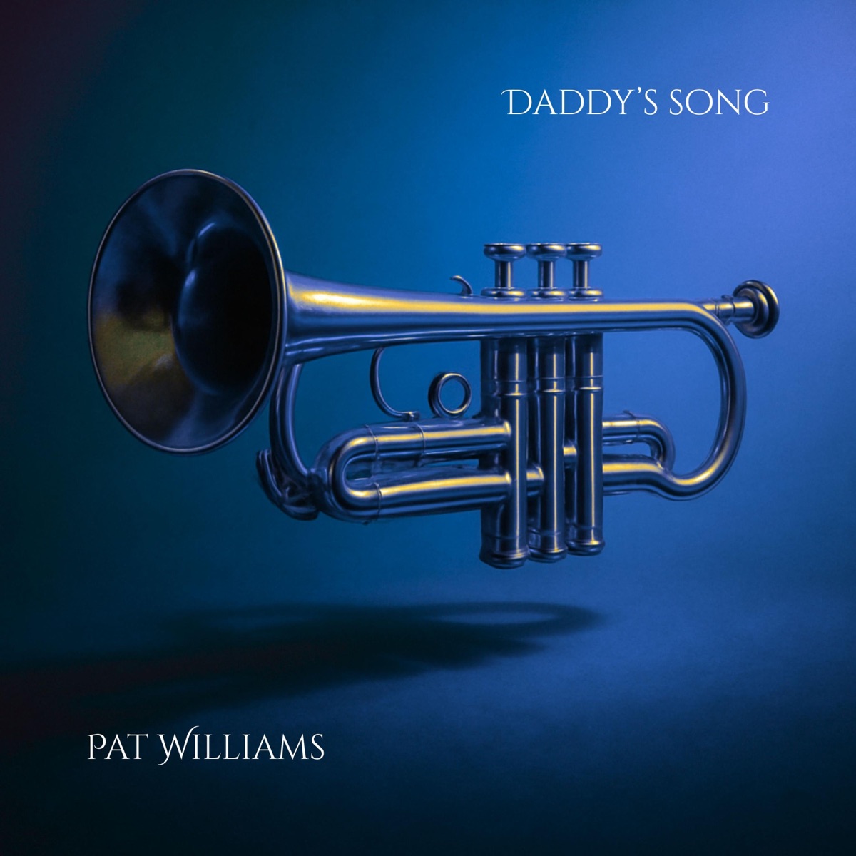 Daddy's Song (feat. James Williams, III, Andrew Lienhard, David Craig & Jordan Donald) - Single by Pat Williams album cover