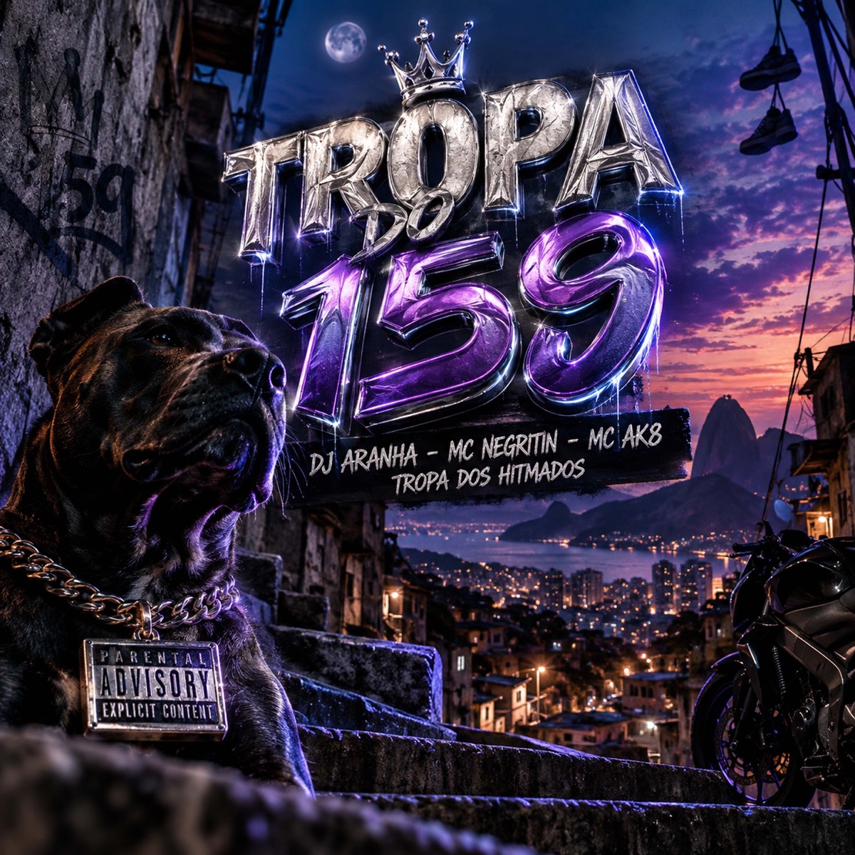 Tropa do 159 - Single by MC Negritin & MC AK8 album cover