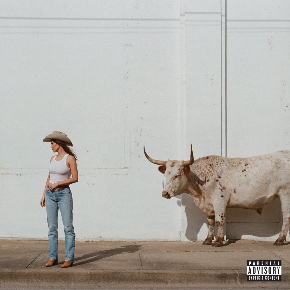 Middle of Nowhere by Kacey Musgraves album cover artwork