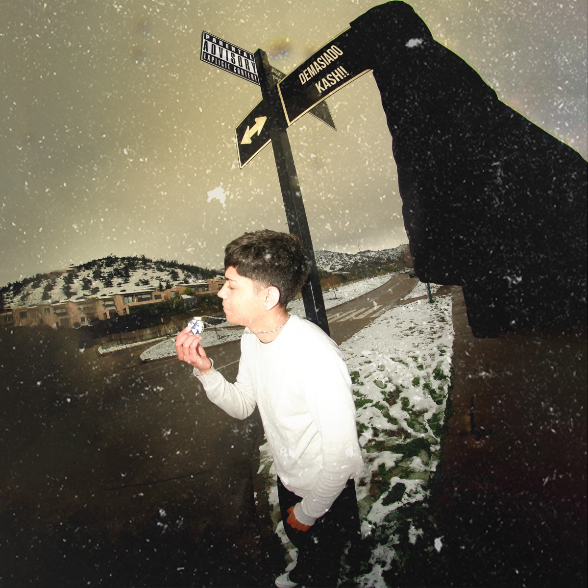 Demasiado Kash!! (feat. Ctrl F1) - Single by Tnnnn album cover