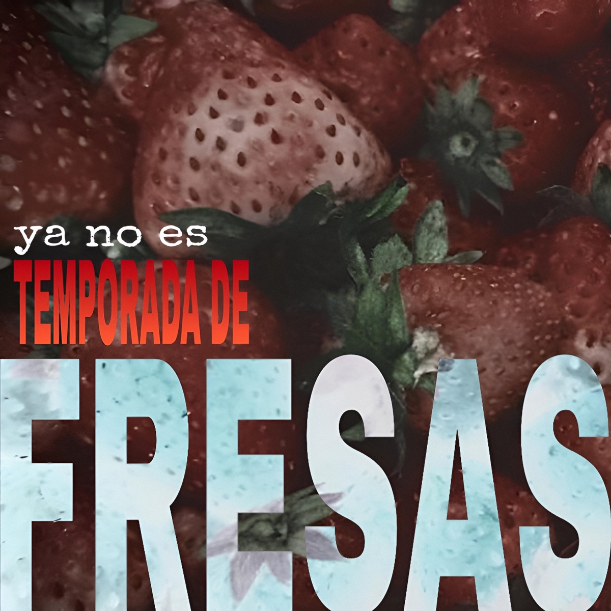 ya no es TEMPORADA DE FRESAS - Single by Kuiner album cover