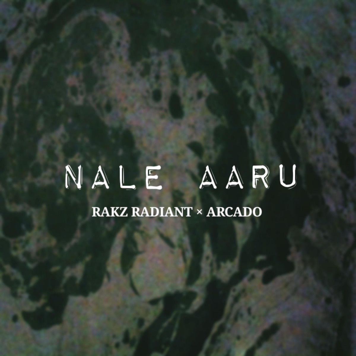 Nale Aaru - Single by Rakz Radiant & Arcado album cover