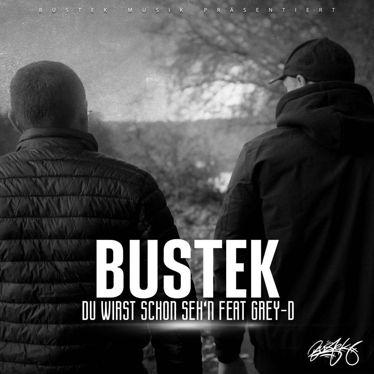 Du wirst schon seh'n - Single by Bustek & Grey-D album cover