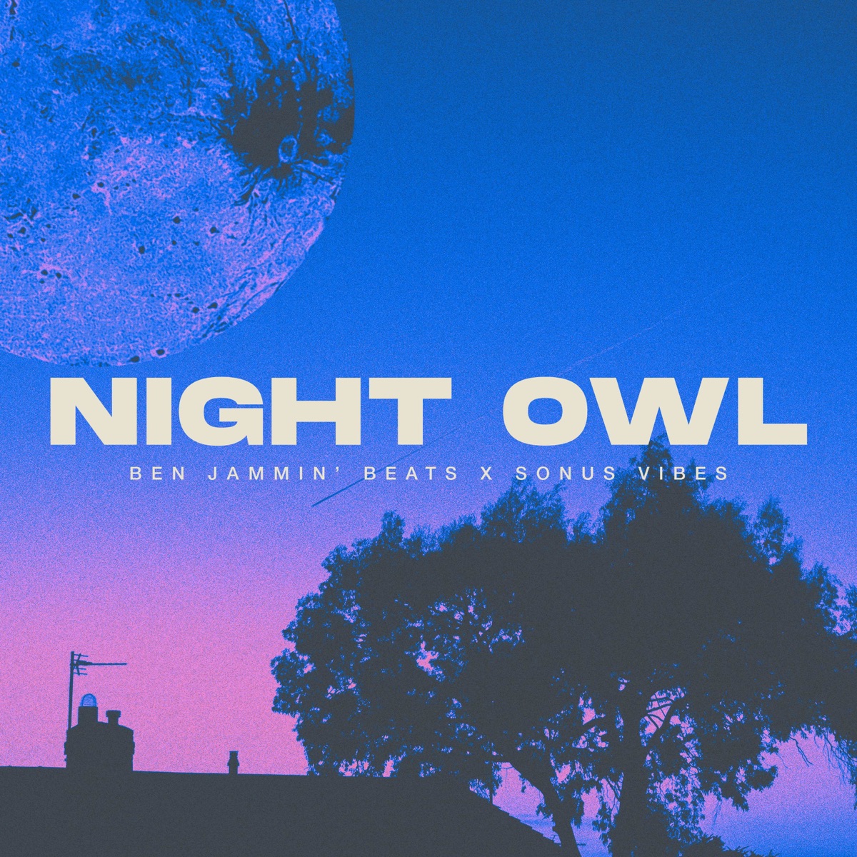 Night Owl (feat. Sonus Vibes) - Single by Ben Jammin' Beats album cover