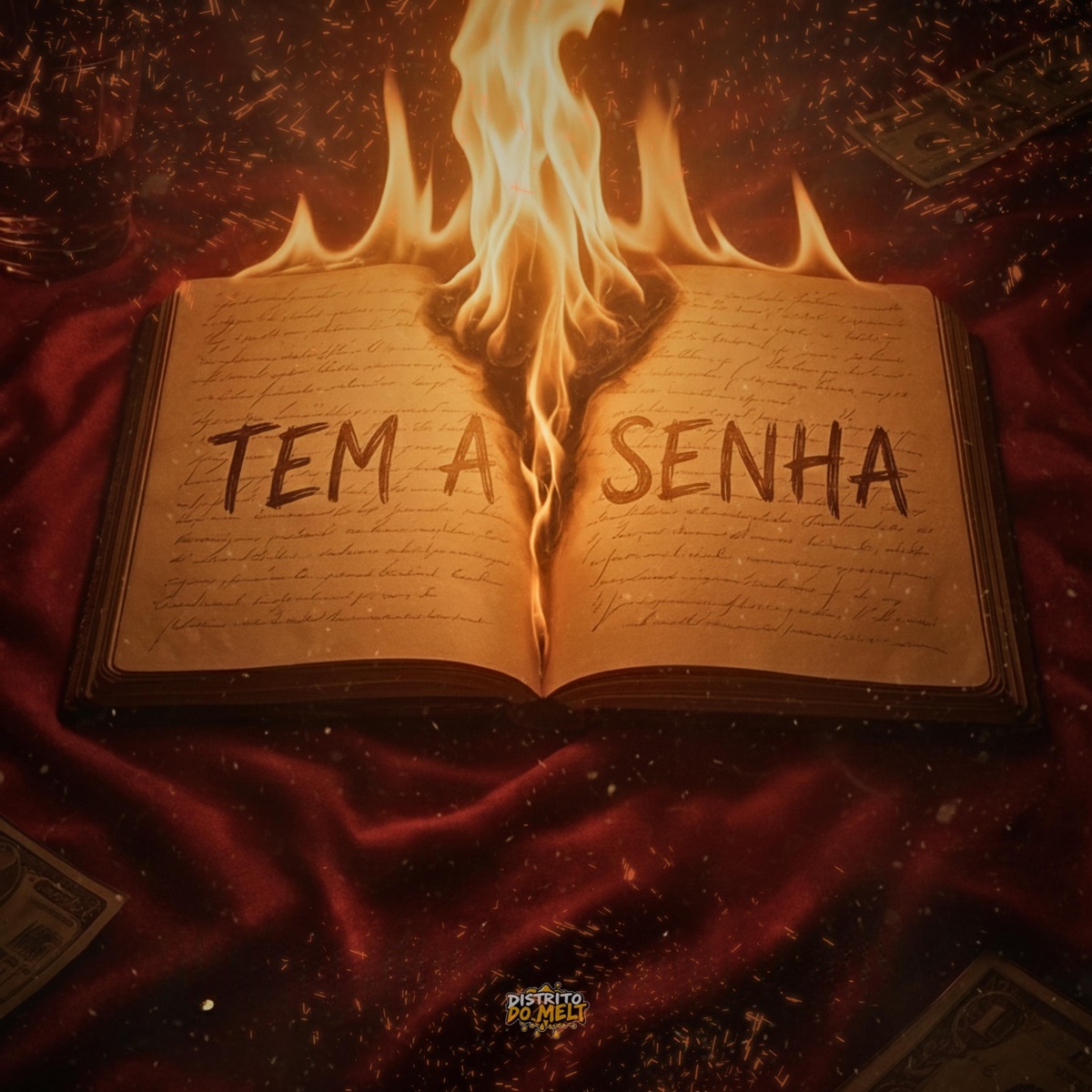 Tem a Senha - Single by Dj Tuta 061, MC LS DA 11 & Nick LP album cover
