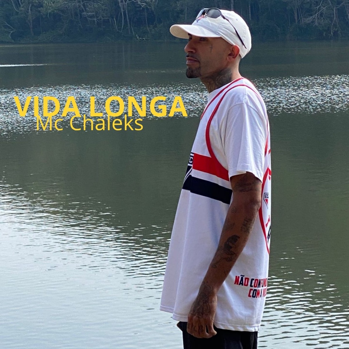 Vida Longa - Single by Mc chaleks album cover