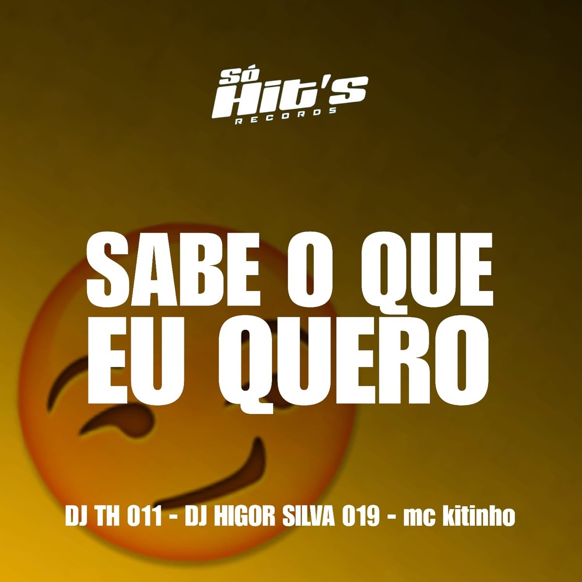 Sabe o Que Eu Quero - Single by dj th 011, DJ HIGOR SILVA 019 & Mc Kitinho album cover