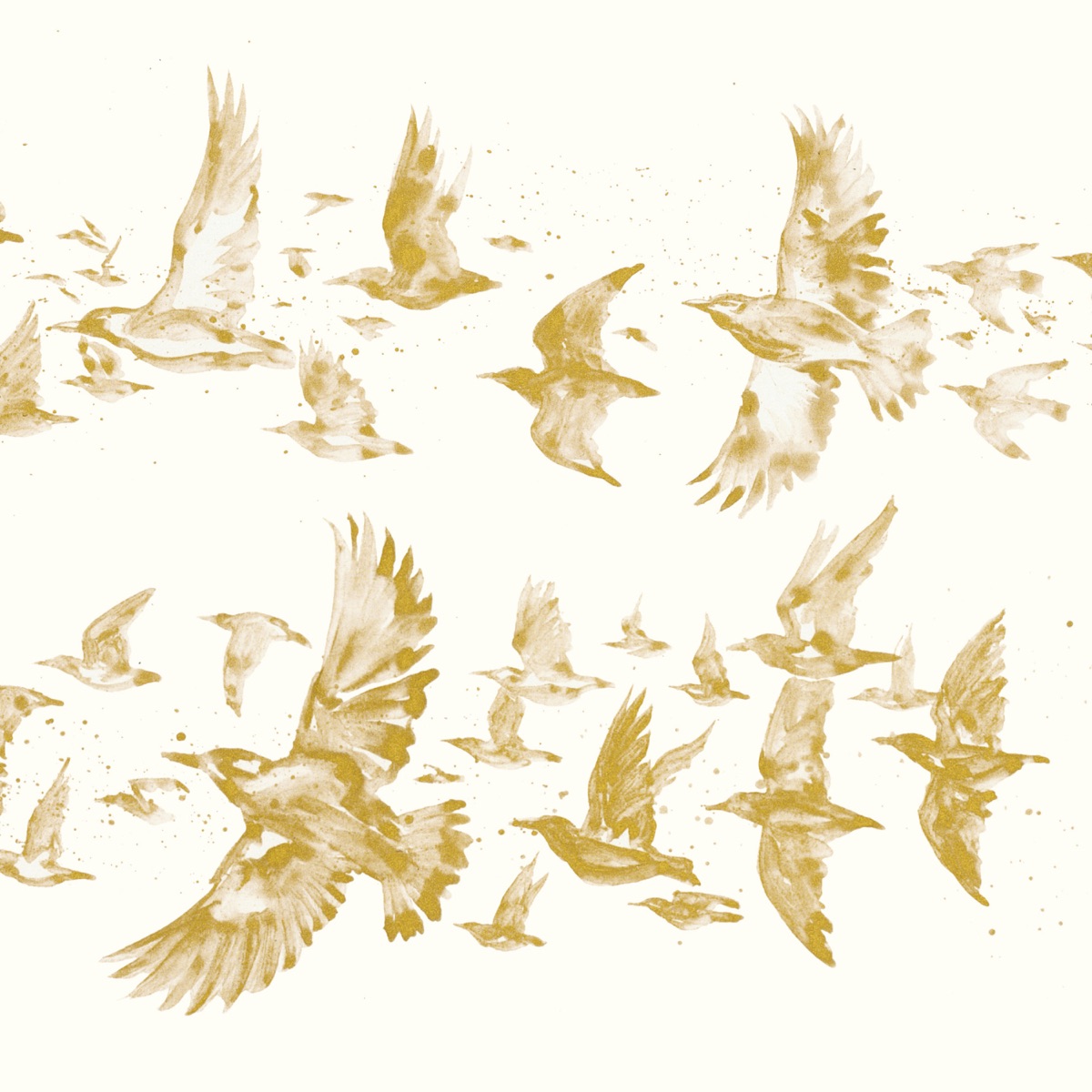 Flight (feat. Karine Polwart, Julie Fowlis, Kris Drever, Rachel Newton, Seckou Keita, Beth Porter & Jim Molyneux) - Single by The Lost Words: Spell Songs album cover