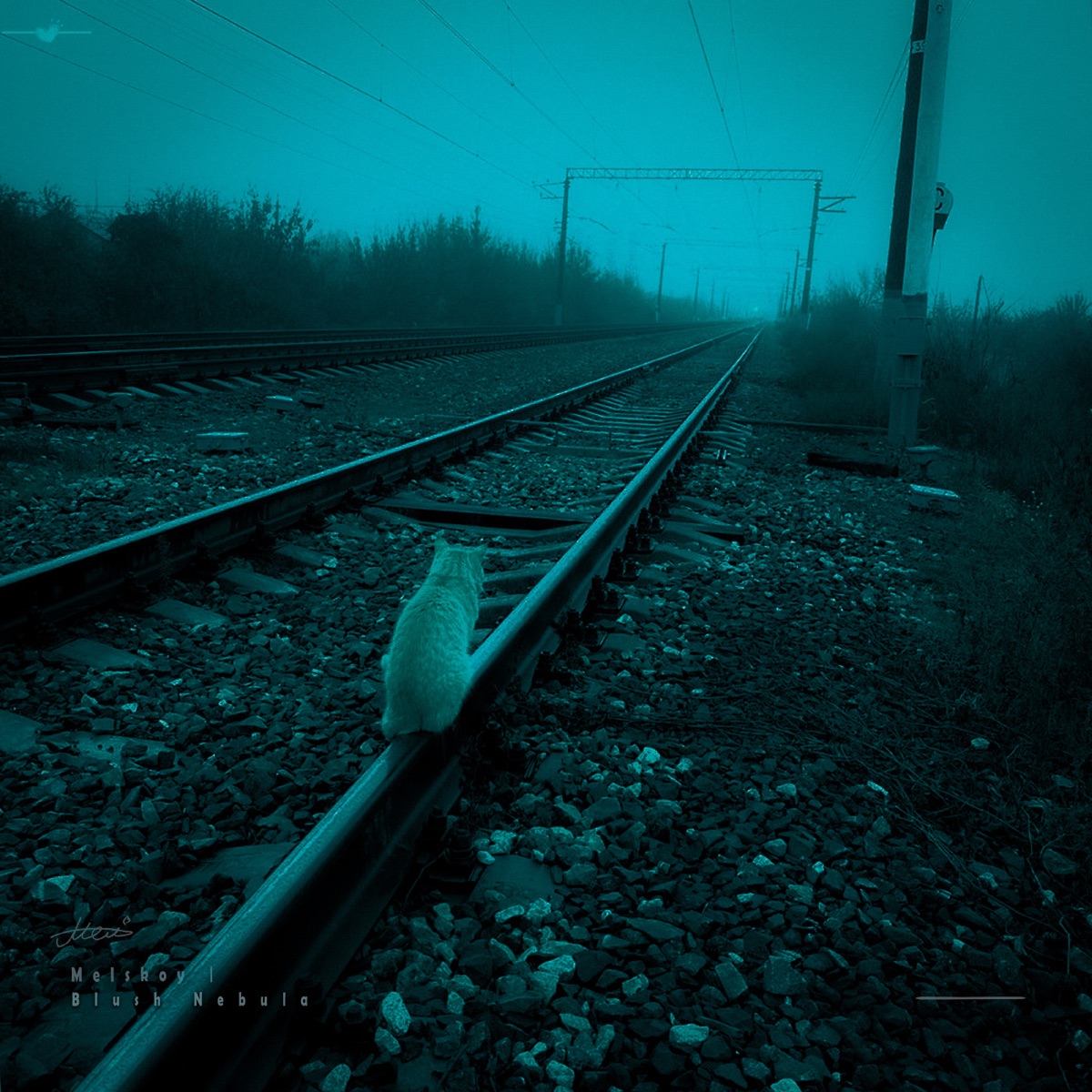 Blush Nebula - Single by Melskoy album cover