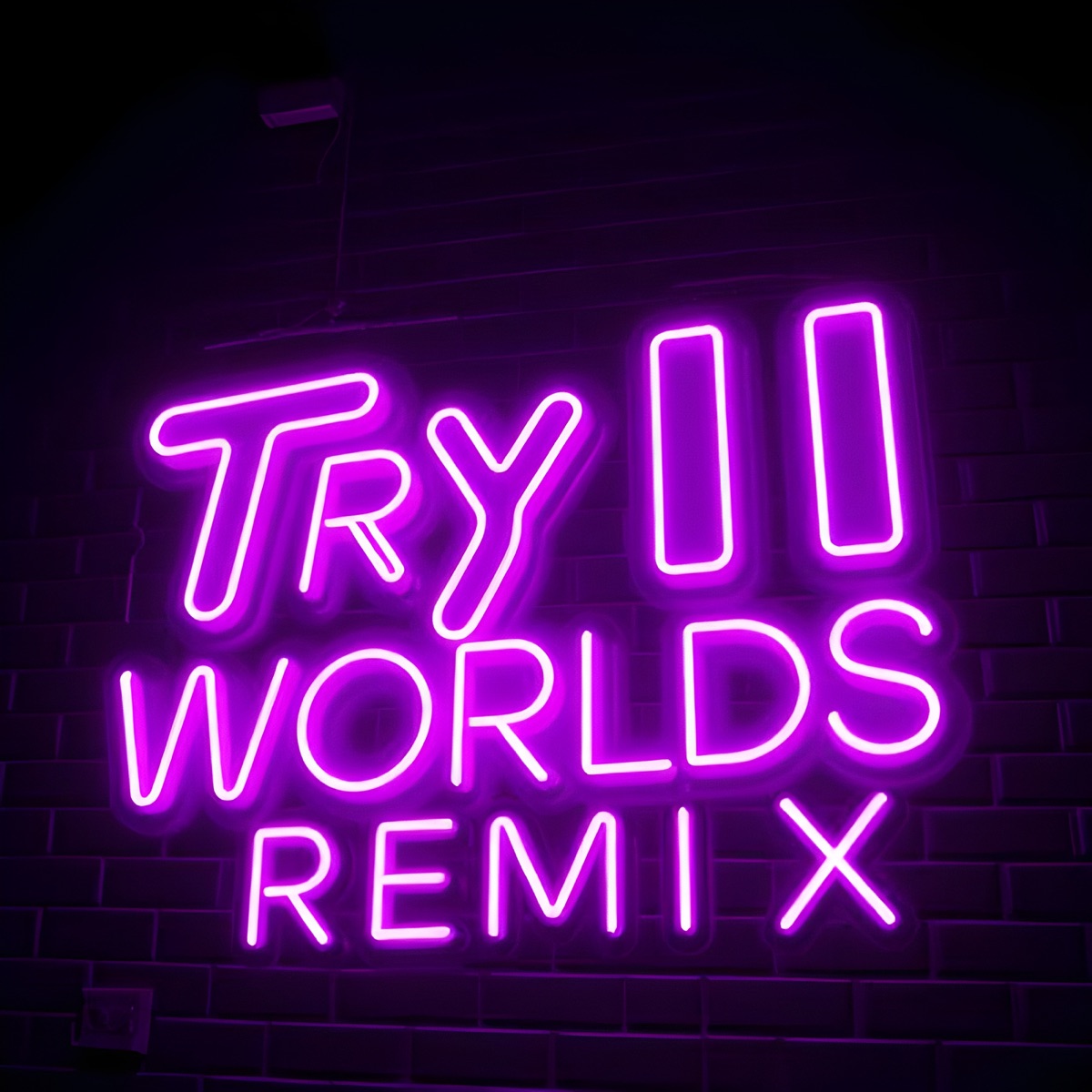 Try II Worlds X (Remix) [feat. Racquel Roberts] - Single by Marty Fingus album cover