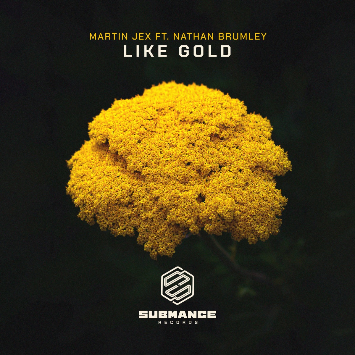Like Gold (feat. Nathan Brumley) - Single by Martin Jex album cover