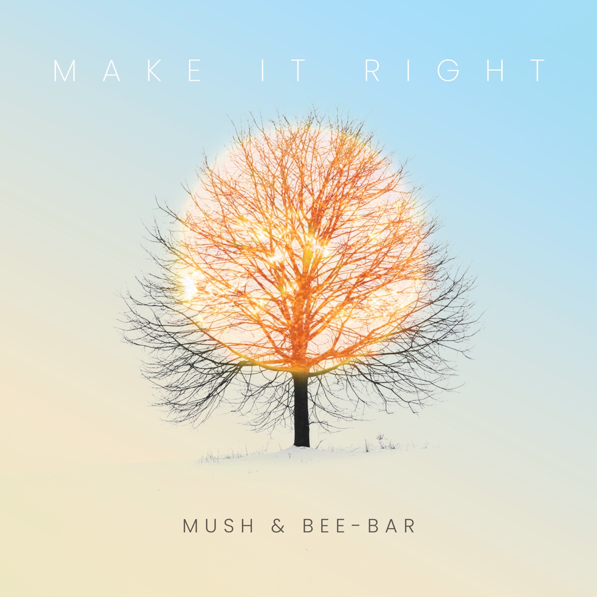 Make It Right - Single by Mush & Bee-Bar album cover