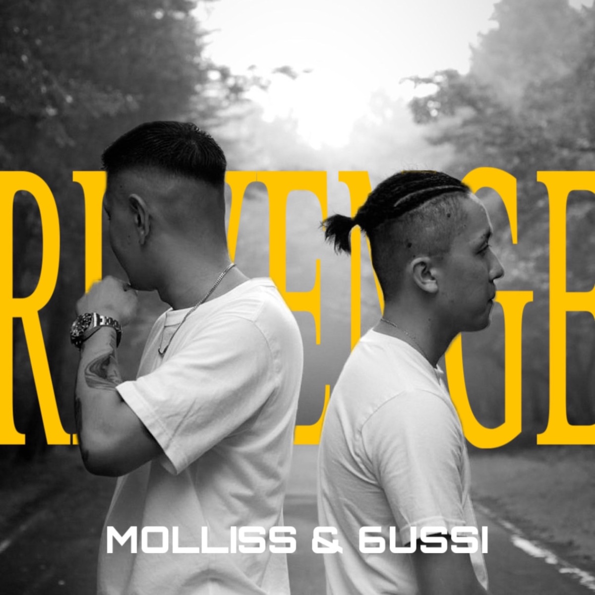 Revenge - Single by Molliss & 6ussi album cover