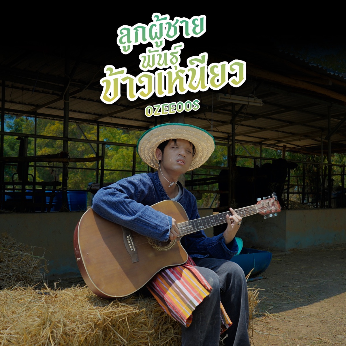 ลูกผู้ชายพันธุ์ข้าวเหนียว - Single by OZEEOOS album cover
