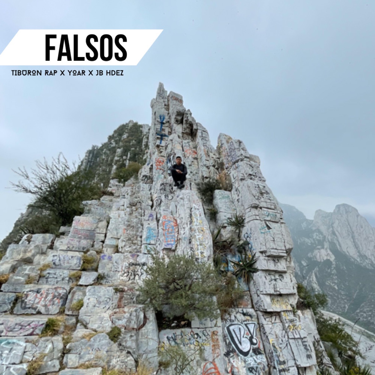 FALSOS (feat. Tiburón Rap & Yoar) - Single by Jhoel Ebr Beats album cover