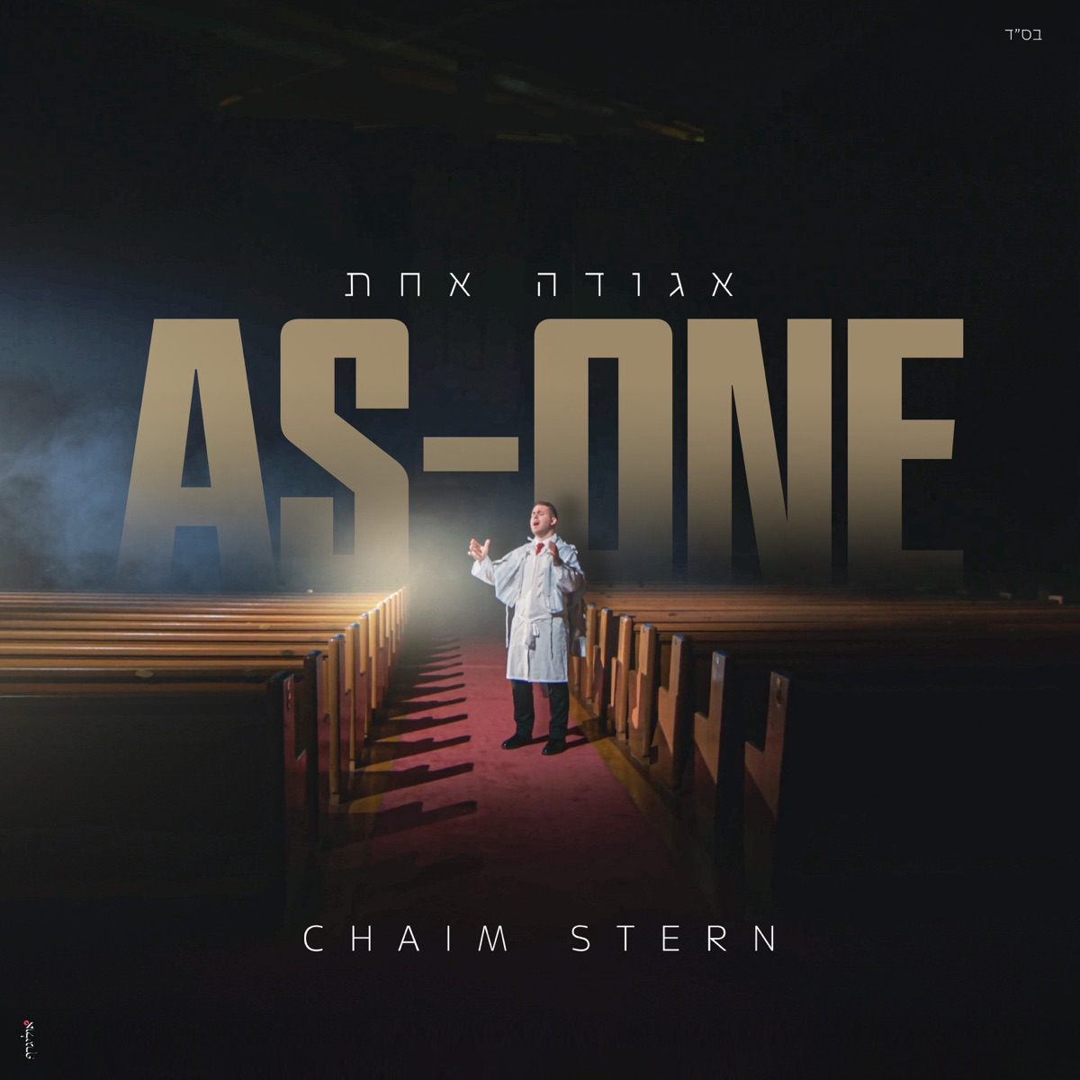 אגודה אחת - Single by Chaim Stern & Ari Posner album cover
