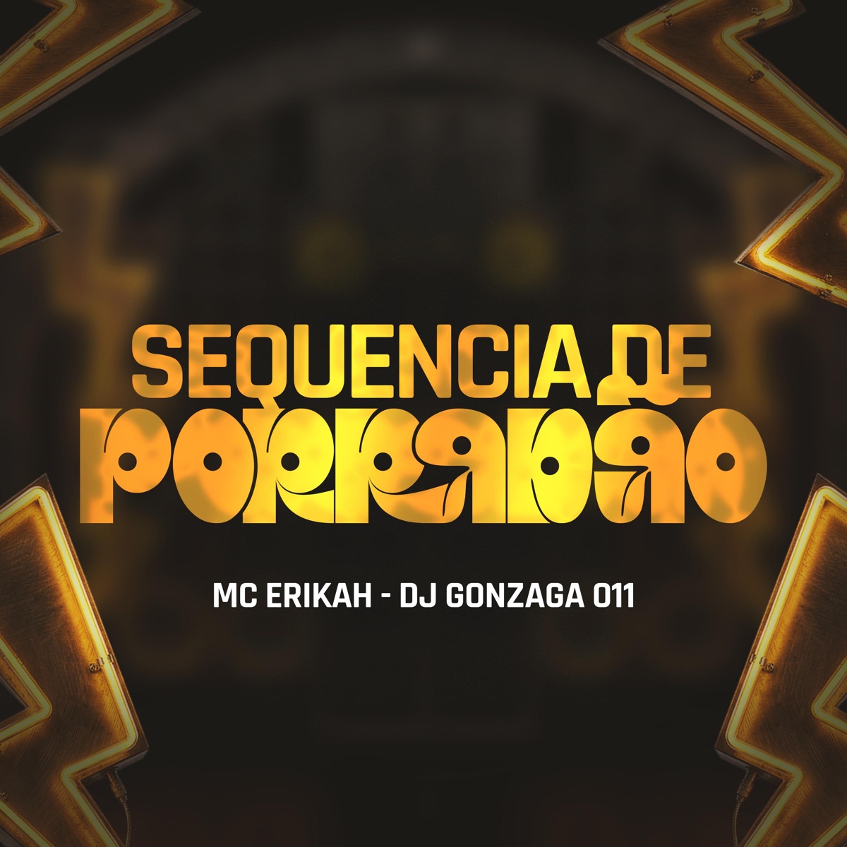 SEQUENCIA DE PORRADÃO - Single by Mc Erikah & dj gonzaga 011 album cover