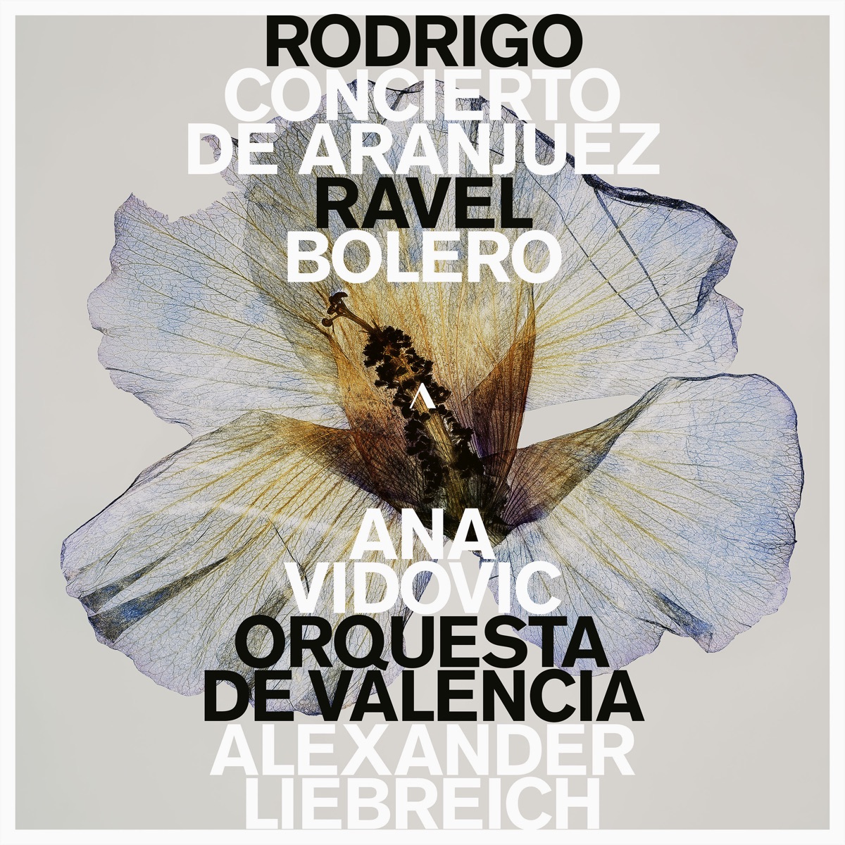 Rodrigo: Concierto de Aranjuez - Ravel: Bolero, M. 81 (Live at the Palau De La Música De Valencia, 2024) by Ana Vidović, Orquesta de Valencia & Alexander Liebreich album cover