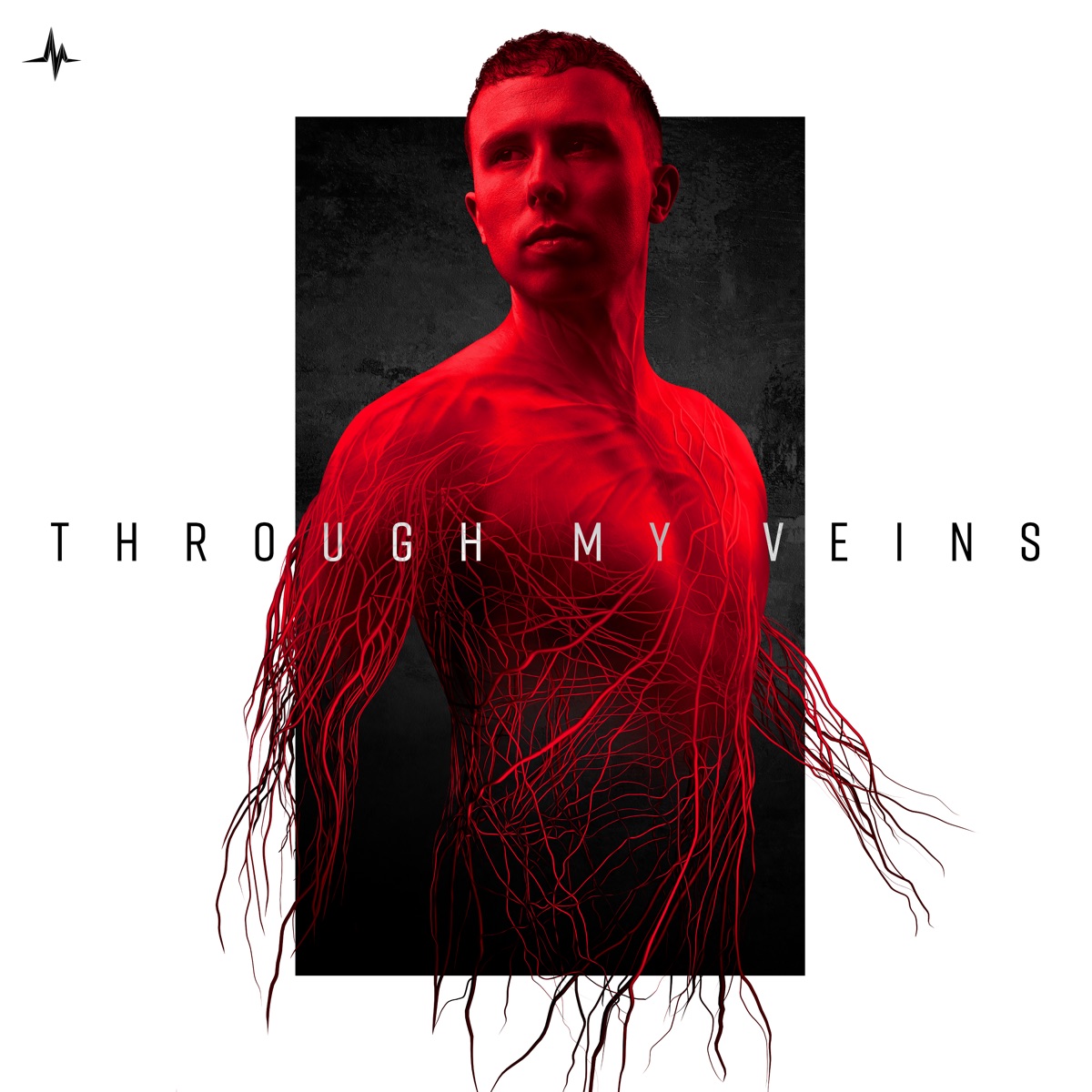 Through My Veins by D-Sturb album cover