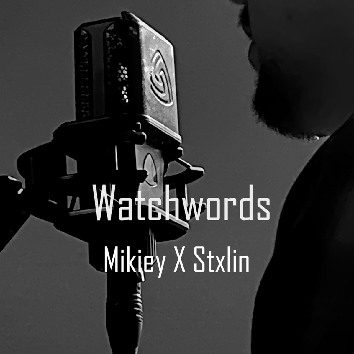 Watchword - Single by Mikiey & Stxlin album cover