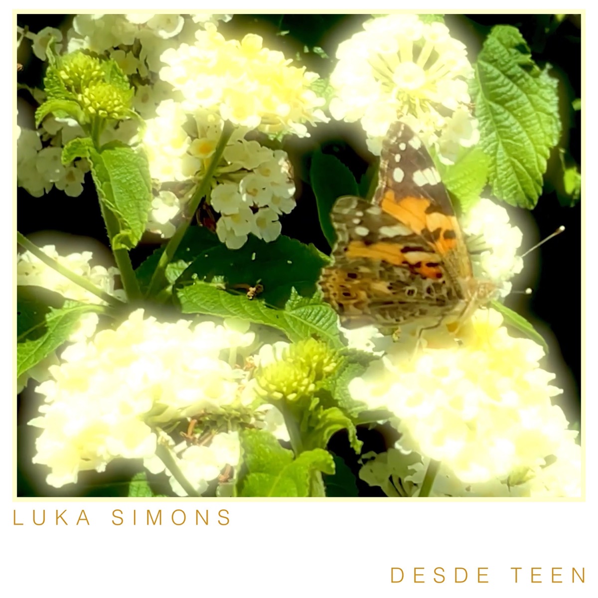 Desde Teen - Single by Luka Simons album cover