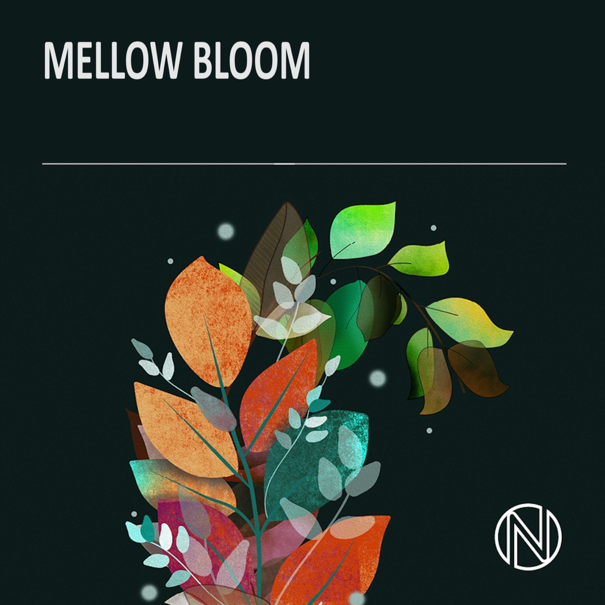 Mellow Bloom by Eliot Jones-West album cover