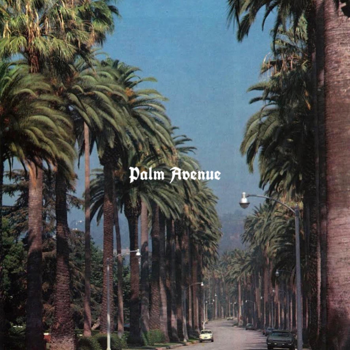 PALM AVENUE - EP by cooogi album cover