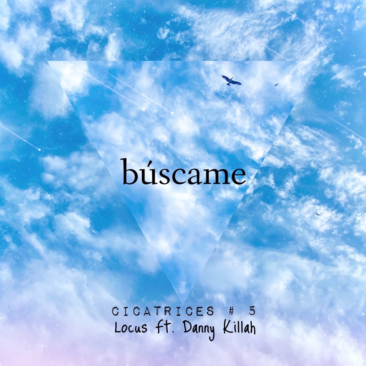 Búscame - Cicatrices # 5 (feat. Danny Killah) - Single by Locus album cover