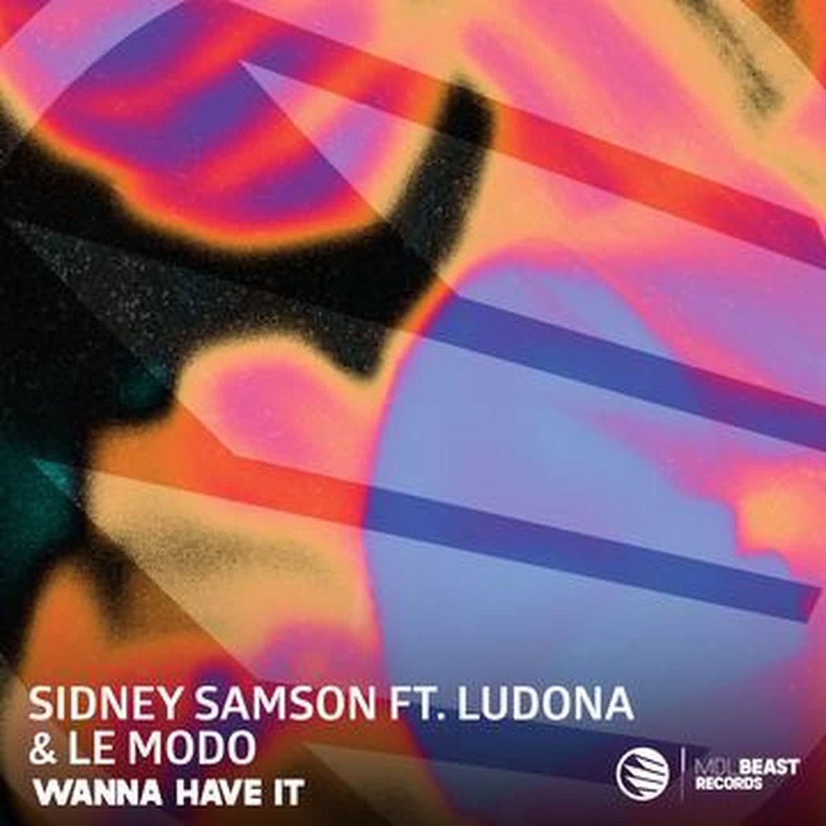 Wanna Have It (feat. Le Modo & Ludona) - Single by Sidney Samson album cover