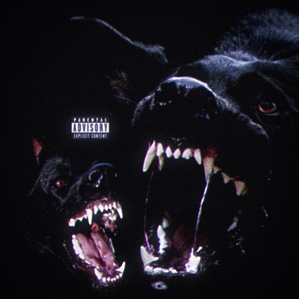 2 DAWGS - Single by Crisis Renegade & Mr.Foxy album cover