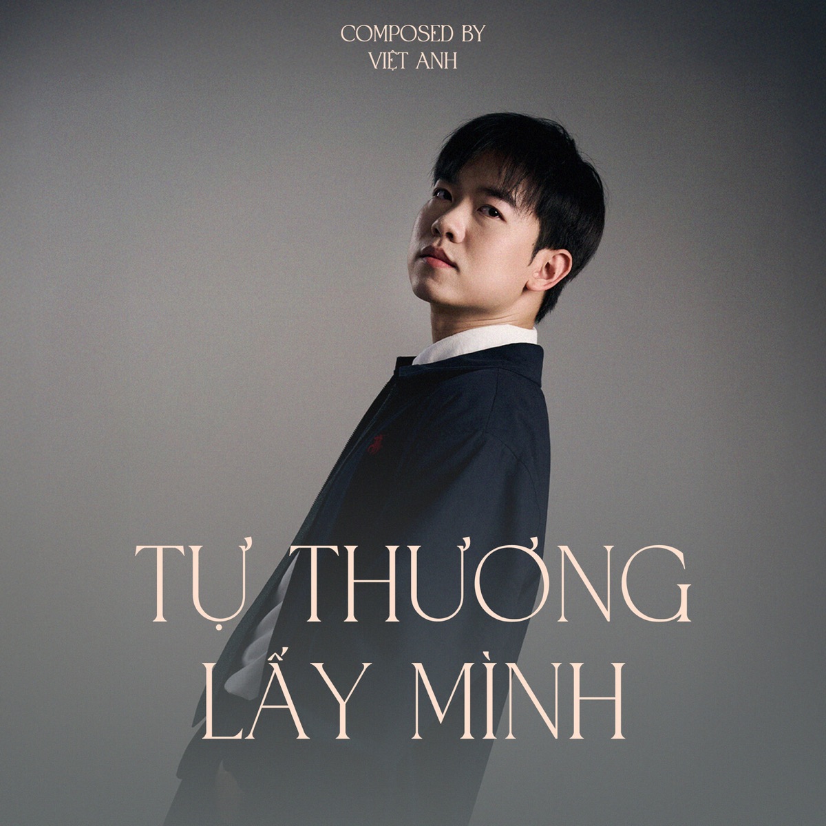 Tự Thương Lấy Mình (Lofi Meme) - Single by Việt Anh & MeMe Media album cover