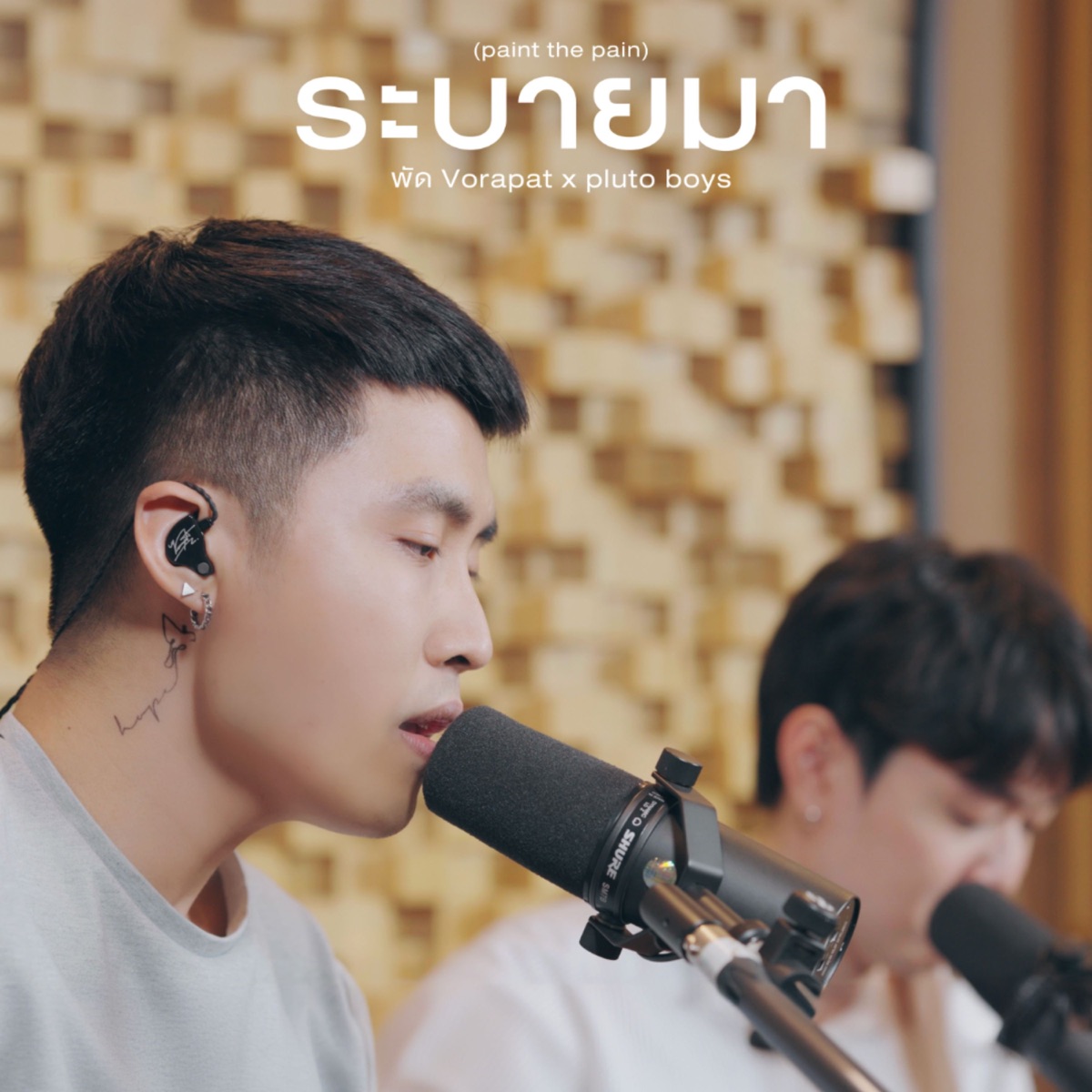 ระบายมา (paint the pain) - Single by พัด Vorapat & pluto boys album cover