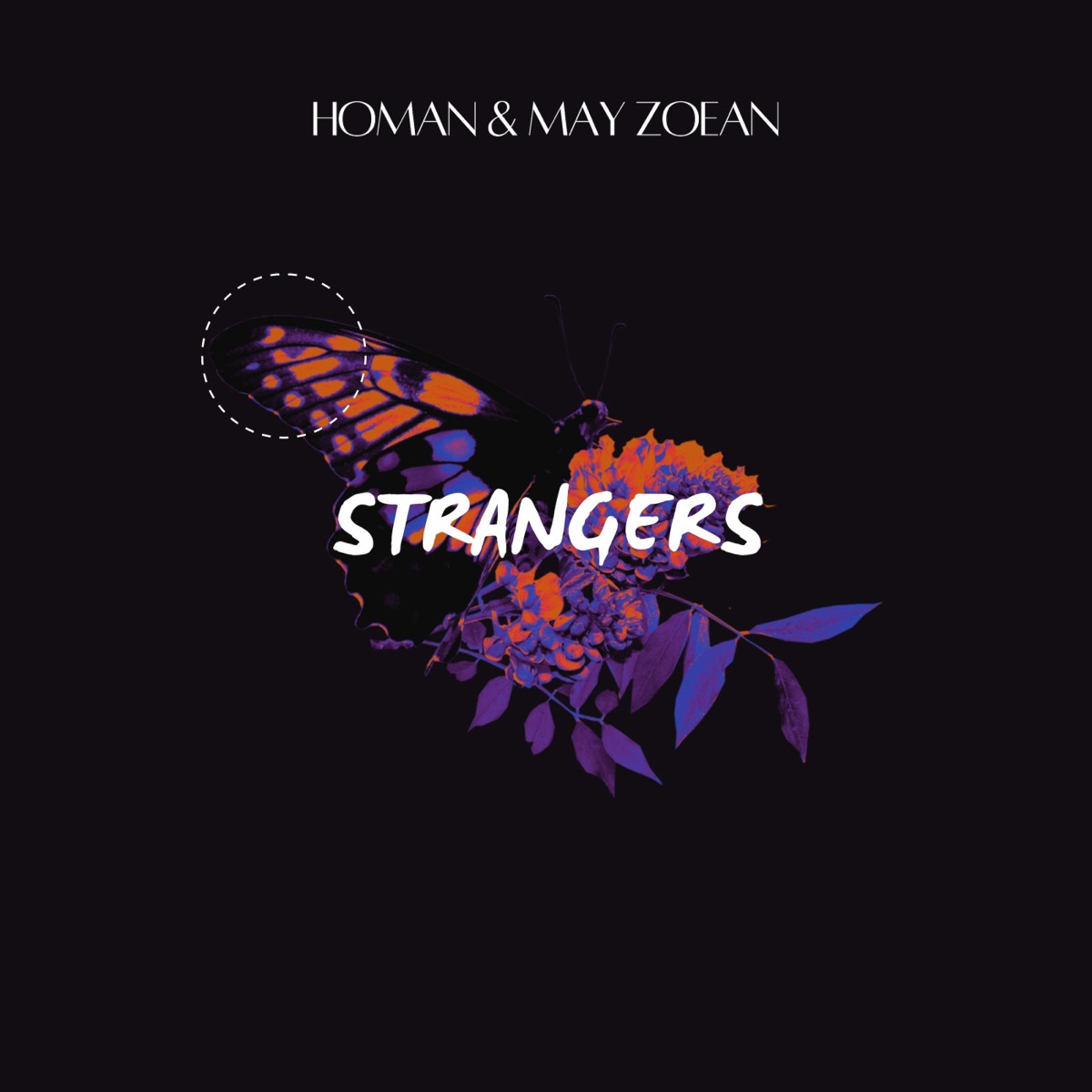 Strangers - Single by HOMAN & Mayvee album cover