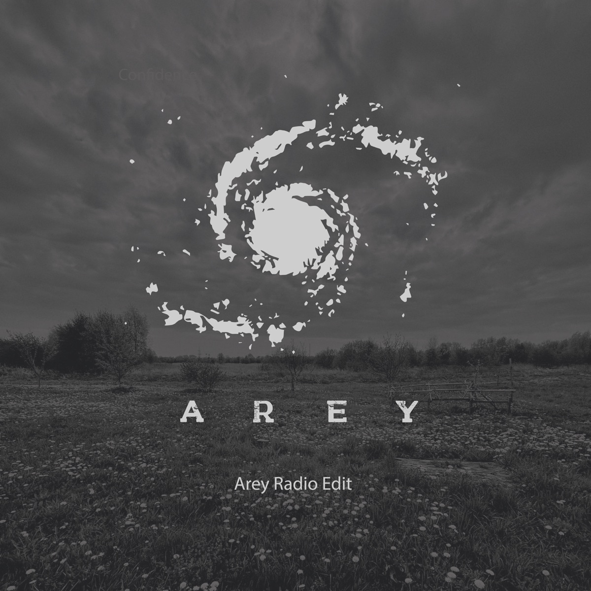 Undugun (Radio Edit) - Single by Home Shell album cover