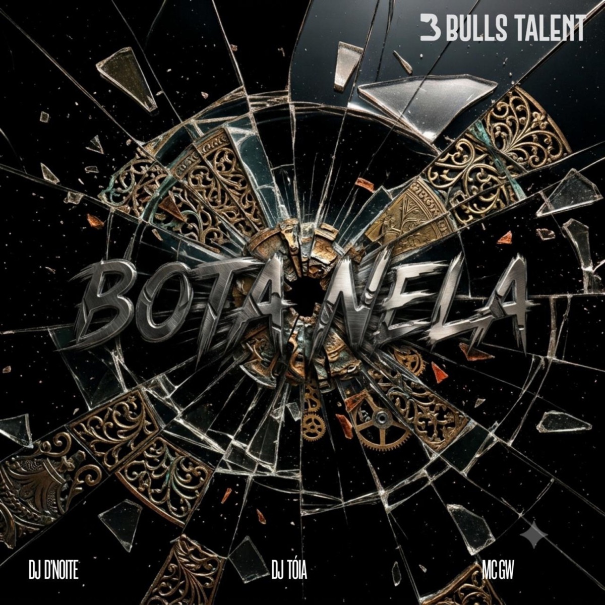 BOTA NELA - Single by Dj D'noite, DJ Tóia & Mc Gw album cover